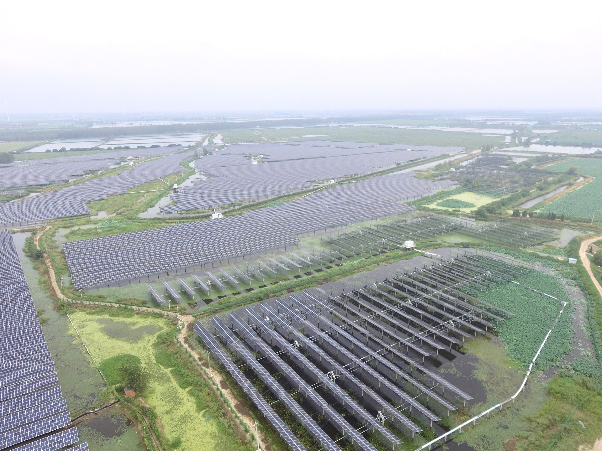 EVO视讯科技江苏扬州宝应光伏发电应用领跑基地2号100兆瓦项目